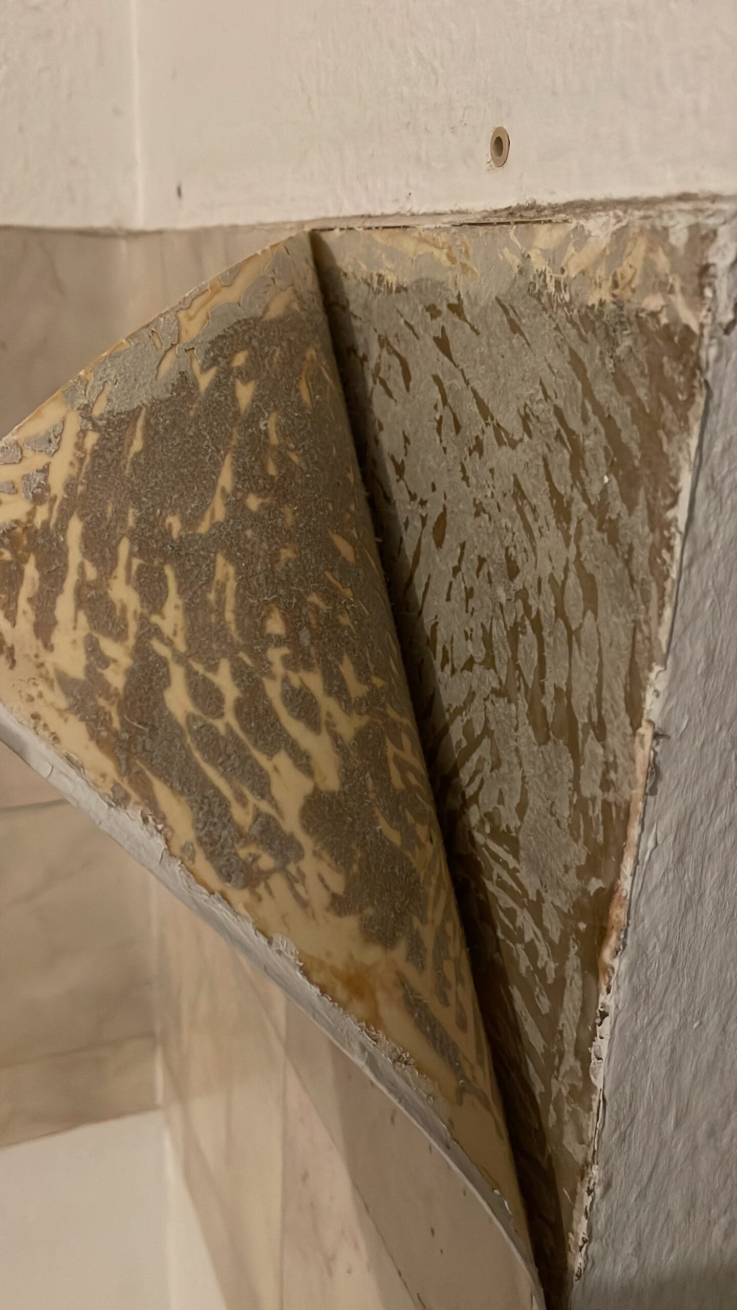 Asbest Kleber Fliesen Wand
